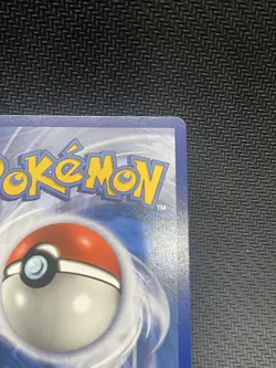 Pokemon Gyarados GX SM212 Holo Black Star Promo Hidden Fates TCG 2019 - Image 4