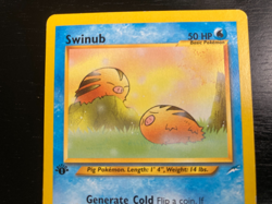 Pokemon Neo Destiny Non-Holo 1st Edition Swinub 84 /105 Excellent Condition - Image 2