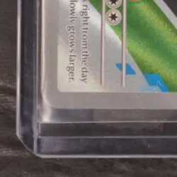 2026 POKEMON TCG 30TH ANNIVERSARY FIRST PARTNER BLACK STAR PROMO 037 BULBASAUR - Image 4