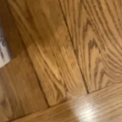 NEW BANDAI DIGIMON CARD GAME RELEASE SPECIAL BOOSTER VER 1.0 BOX 24PACKS BT01-03 811039034320 - Image 5