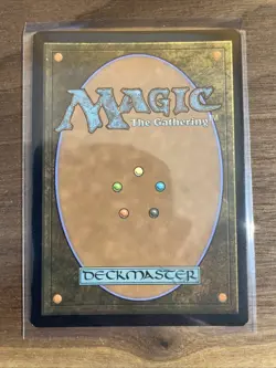 Rhythm of the Wild (Borderless) *FOIL* Teenage Mutant Ninja Turtles NM MTG - Image 2