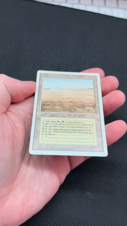 Magic: The Gathering - Savannah - Revised - LP - Image 2