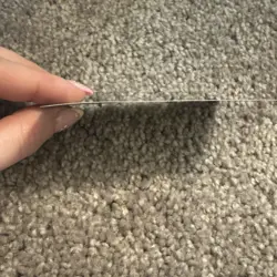 Lotus Petal Tempest Regular MTG Card Tempest - Image 3