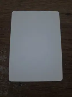 Yawgmoth Demon Artist Proof SIGNED By Sandra Everingham Mtg - Image 2