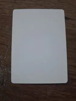 Wall Of Spears Artist Proof SIGNED By Sandra Everingham Mtg - Image 2