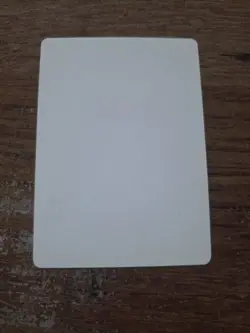 Mightstone Artist Proof SIGNED By Pete Venters Mtg - Image 2