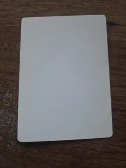 Wall Of Opposition Artist Proof SIGNED By Harold McNeill Mtg - Image 2