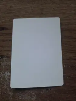 Alabaster Potion Artist Proof SIGNED By Harold McNeill Mtg - Image 2