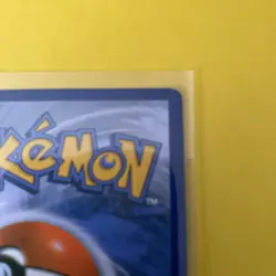 Charizard and Braixen GX SM230 Sun and Moon Black Star Promo NM Pokemon Card - Image 4