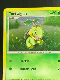 Pokemon Turtwig DP01 Diamond & Pearl Black Star Promo Holo - Image 2