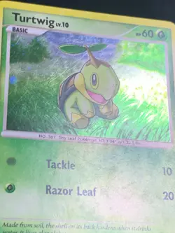 Pokemon Turtwig DP01 Diamond & Pearl Black Star Promo Holo - Image 3
