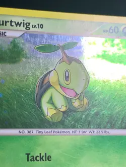 Pokemon Turtwig DP01 Diamond & Pearl Black Star Promo Holo - Image 4