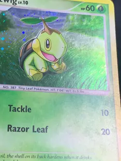 Pokemon Turtwig DP01 Diamond & Pearl Black Star Promo Holo - Image 5