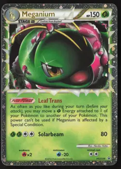 Meganium - Promo - HGSS08 - Holo - Pokemon - LP - Image 1