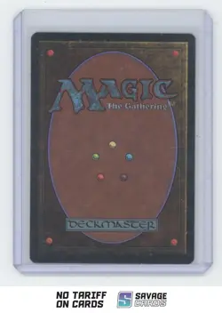1993 Magic the Gathering BETA Land Plains - Image 2