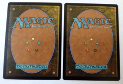 2x Ajani, Caller of the Pride (1 Borderless/1 Regular) - (FDN) - EN - M 357/134 - Image 2