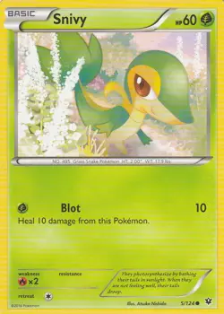 Snivy 5/124 Pokemon Card XY Fates Collide Set 2016 - Image 1