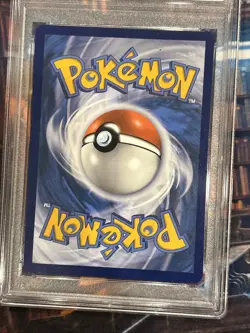 Squawkabilly ex 264/193 Sv02: Paldea Evolved Holo PSA 10 Pokemon - Image 4