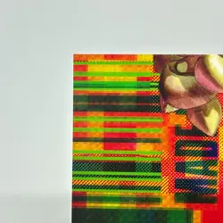 043 Ghost in the Shell SHIROW MASAMUNE illustration Card epoch JAPAN 2001 - Image 2