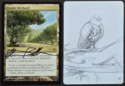 SKETCHED MtG Magic _Steve Belledin _ Conflux Artist Proof _ EXOTIC ORCHARD _1/50 - Image 1