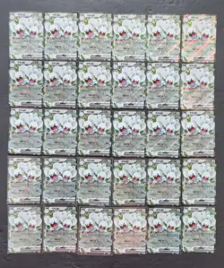 30*Lot 2025 Pokemon TCG S-Chinese RR CSV4C 114/129 Maushold ex Holo JD90 - Image 1