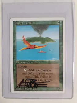 MTG Birds of Paradise SIGNED Mark Poole 1994 Revised English Vintage Magic Card - Image 3