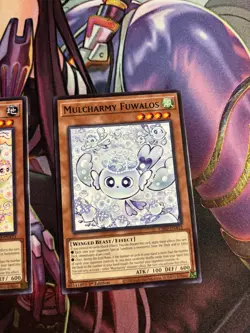 Set Yugioh Legendary Modern Decks 2026 Cards Mulcharmy Purulia/Fuwalos/Meow - Image 3
