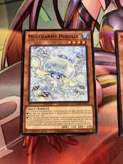 Set Yugioh Legendary Modern Decks 2026 Cards Mulcharmy Purulia/Fuwalos/Meow - Image 4