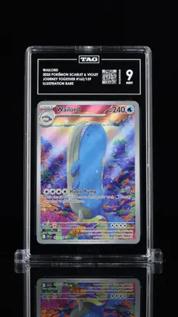 Wailord 162/159 Journey Together Illustration Rare Holo Pokemon 2025 TAG 9 MINT - Image 1