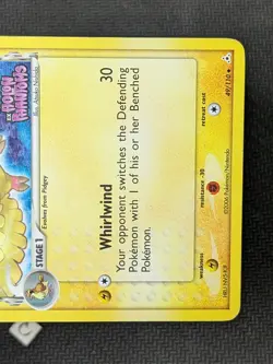 Pidgeotto 49/110 - Holon Phantoms Stamped Reverse Holo Pokemon TCG HP - Image 5