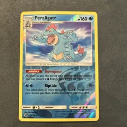 Feraligatr 24/70 - Dragon Majesty Reverse Holo LP Pokemon TCG - Image 1