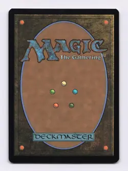 Spider-Punk (Borderless) (Foil) 0210 (R) MTG Marvel's Spider-Man (SPM) - Image 2