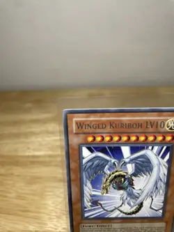 Yu-Gi-Oh! Winged Kuriboh LV10 DP1-EN006 Rare Yugioh Card Konami TCG - Image 2
