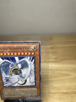 Yu-Gi-Oh! Winged Kuriboh LV10 DP1-EN006 Rare Yugioh Card Konami TCG - Image 5