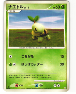 Turtwig Pokemon TCG Entry Pack '08 MP - Image 1