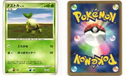Turtwig Pokemon TCG Entry Pack '08 MP - Image 3