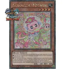Yugioh! 1x Mulcharmy Meowls SUDA-EN025 Quarter Century Secret Rare 1st Ed NM - Image 1
