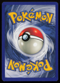 Pokemon TCG English Card Jungle Set WOTC Kangaskhan 5/64 Holo Rare LP - Image 2