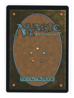 MTG - Veyran, Voice of Duality - Normal - Tarkir: Dragonstorm Commander - NM - Image 2