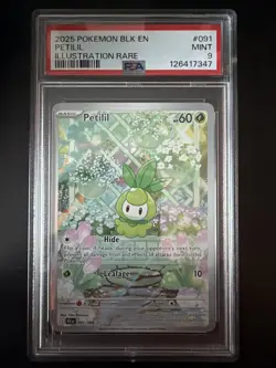 2025 POKEMON BLK EN-BLACK BOLT ILLUSTRATION RARE #091 PETILIL PSA 9 - Image 1
