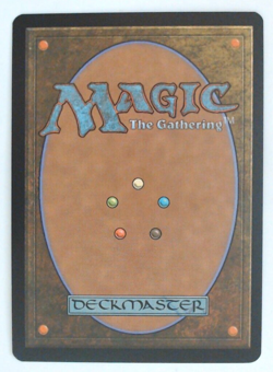 MTG Bling - Foil Basic Land - Mountain (244) - Shards of Alara -H38 - Image 2