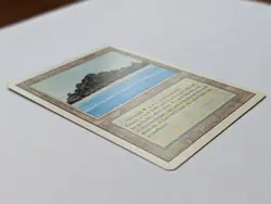 MTG Tropical Island Revised Dual Land – Light Play LP – Magic the Gathering - Image 2