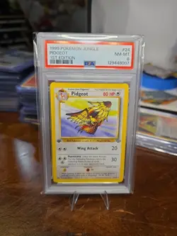 Pokemon TCG Jungle Pidgeot 24/64 Regular Non-Holo 1st Edition PSA 8 - Image 1