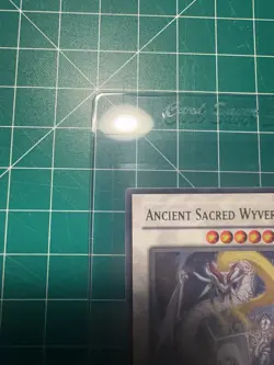Ancient Sacred Wyvern ANPR-EN043 Ancient Prophecy 1st Edition - Image 3