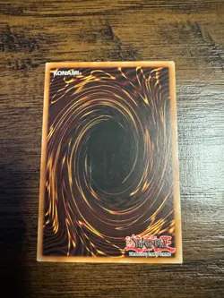 D.D. Warrior Lady - YS14-ENA04 - 1st Edition - YuGiOh-LP - Image 2