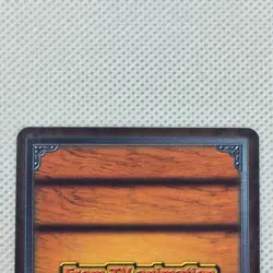 One Piece Cardgame Carddass EX Booster5 Foil PA-W07 Noland Bandai 2004 Japan - Image 5
