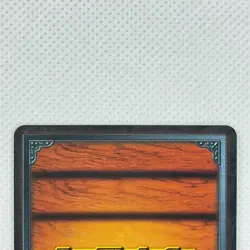 One Piece Cardgame Carddass Booster3 Foil CS-W09 Raki Bandai 2003 Japan - Image 5
