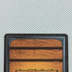 One Piece Cardgame Carddass EX Booster7 Foil TD-W11 Bandai 2004 Japan - Image 5