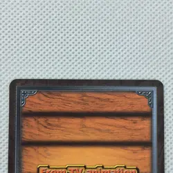 One Piece Cardgame Carddass EX Booster7 Foil TD-W09 Porche Bandai 2004 Japan - Image 5