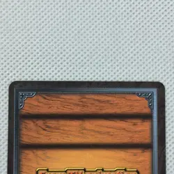 One Piece Cardgame Carddass EX Booster7 Foil TD-W08 Robin Bandai 2004 Japan - Image 5